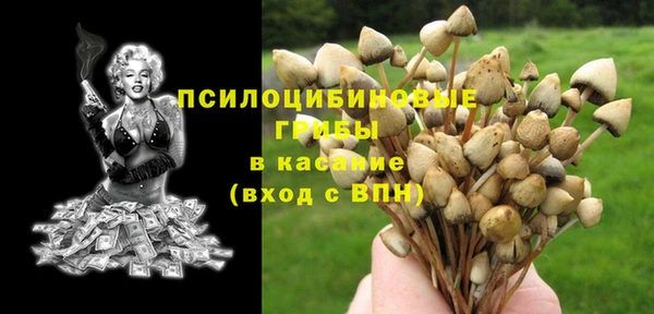 кокаин перу Бородино