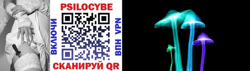 Псилоцибиновые грибы прущие грибы  Новосокольники 